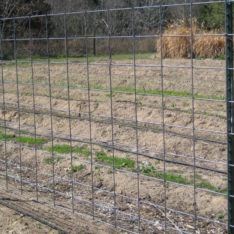 wire mesh  fencing for  horse  woven field fencing