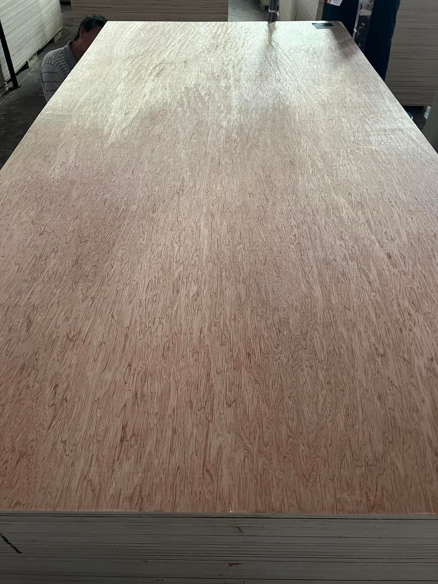 FSC 18MM Waterproof Bintangor okoume birch pine phenolic Marine Plywood Commercial Plywood For Boat container floor Making