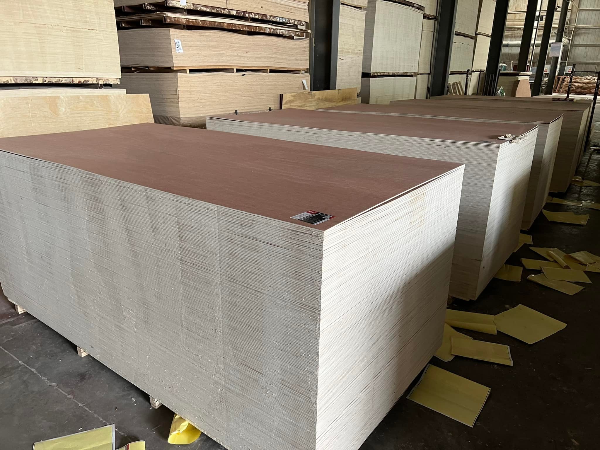 FSC 18MM Waterproof Bintangor okoume birch pine phenolic Marine Plywood Commercial Plywood For Boat container floor Making