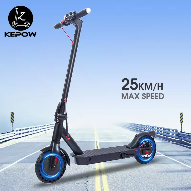 Electric Scooters 2024 Popular 2 Wheel Electric Skateboard E9pro Scooter Electric Bike Adult Scooter 350w