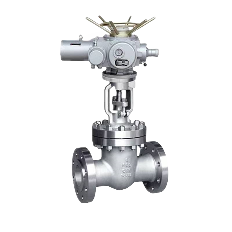 DN20 100 ANSI JIS DIN pneumatic/electric actuator stainless steel gate valve globe valve power station valve