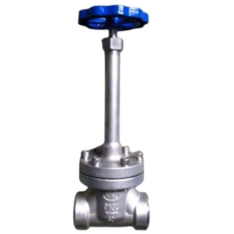 DN20 ANSI JIS electric/pneumatic actuator manual welding liquid ammonia methane natural gas flange thread cryogenic globe valve