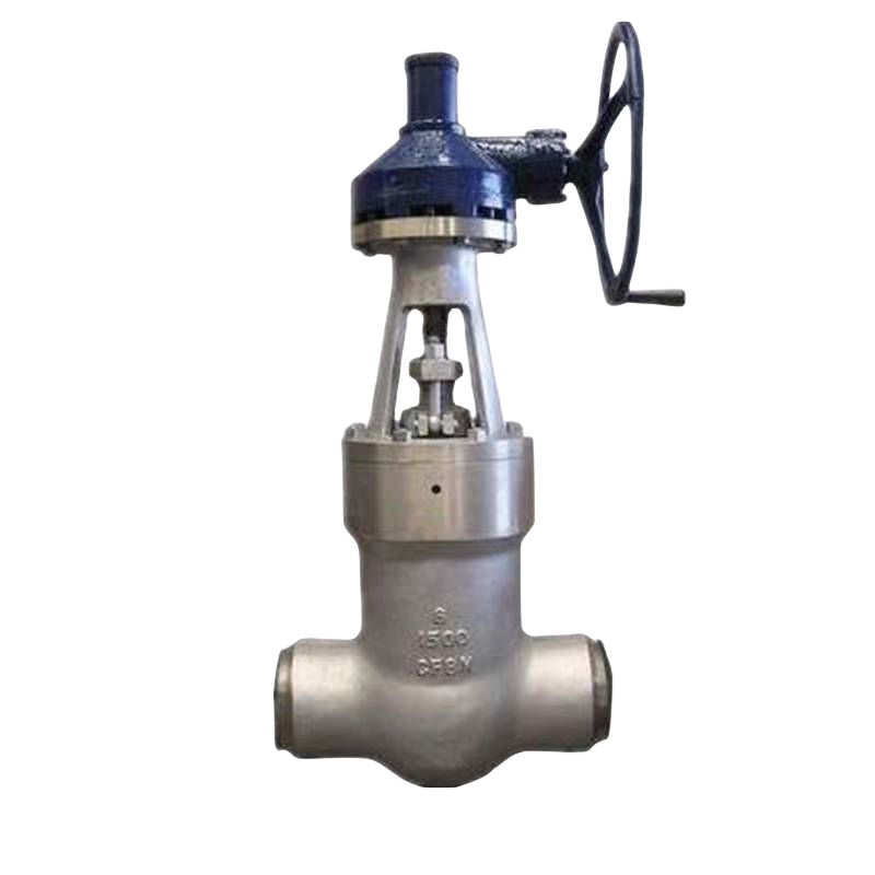 DN20 100 ANSI JIS DIN pneumatic/electric actuator stainless steel gate valve globe valve power station valve