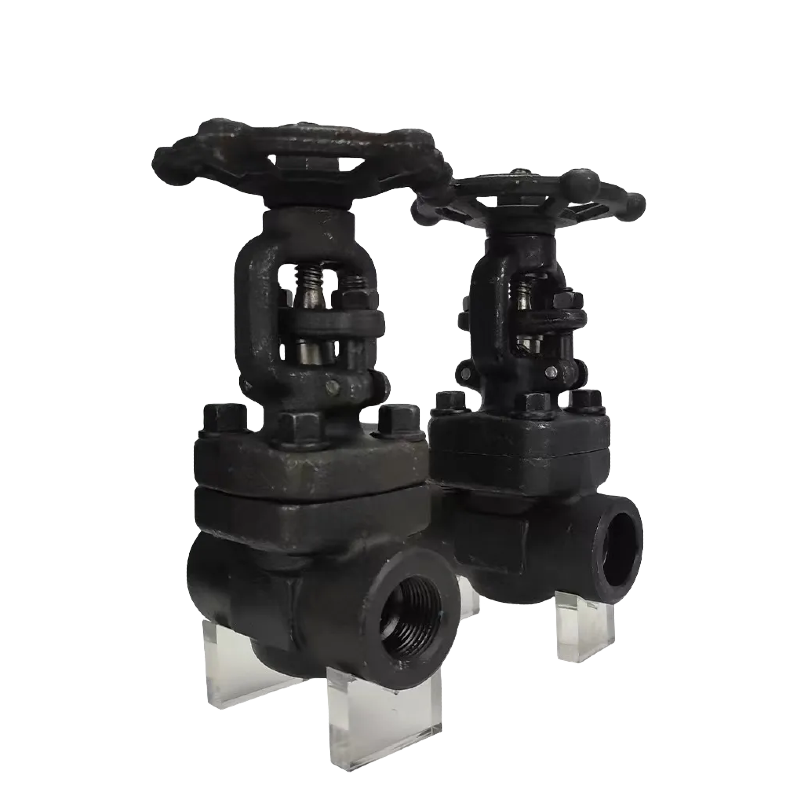 ANSI JIS GB high pressure and high temperature steam forged steel stainless steel threaded connection socket welding gate valve