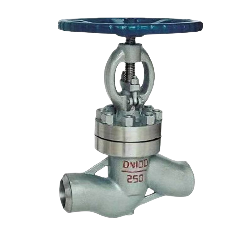 DN20 100 ANSI JIS DIN pneumatic/electric actuator stainless steel gate valve globe valve power station valve