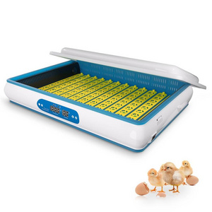 HHD Chicken Fertilizer Machine Egg Incubator Parts and Accessories Chicken Brooder Box for Sale  H120