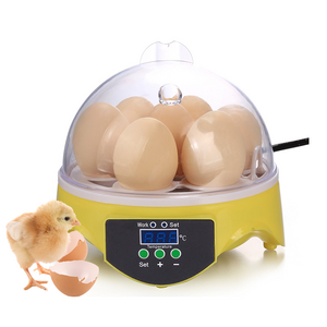 Hhd Brooder Thermometer House Cuddle Bulbs Pet Door Egg In Kenya Heater Plate Temperature Outdoor Chick Solar Heaters Diesel