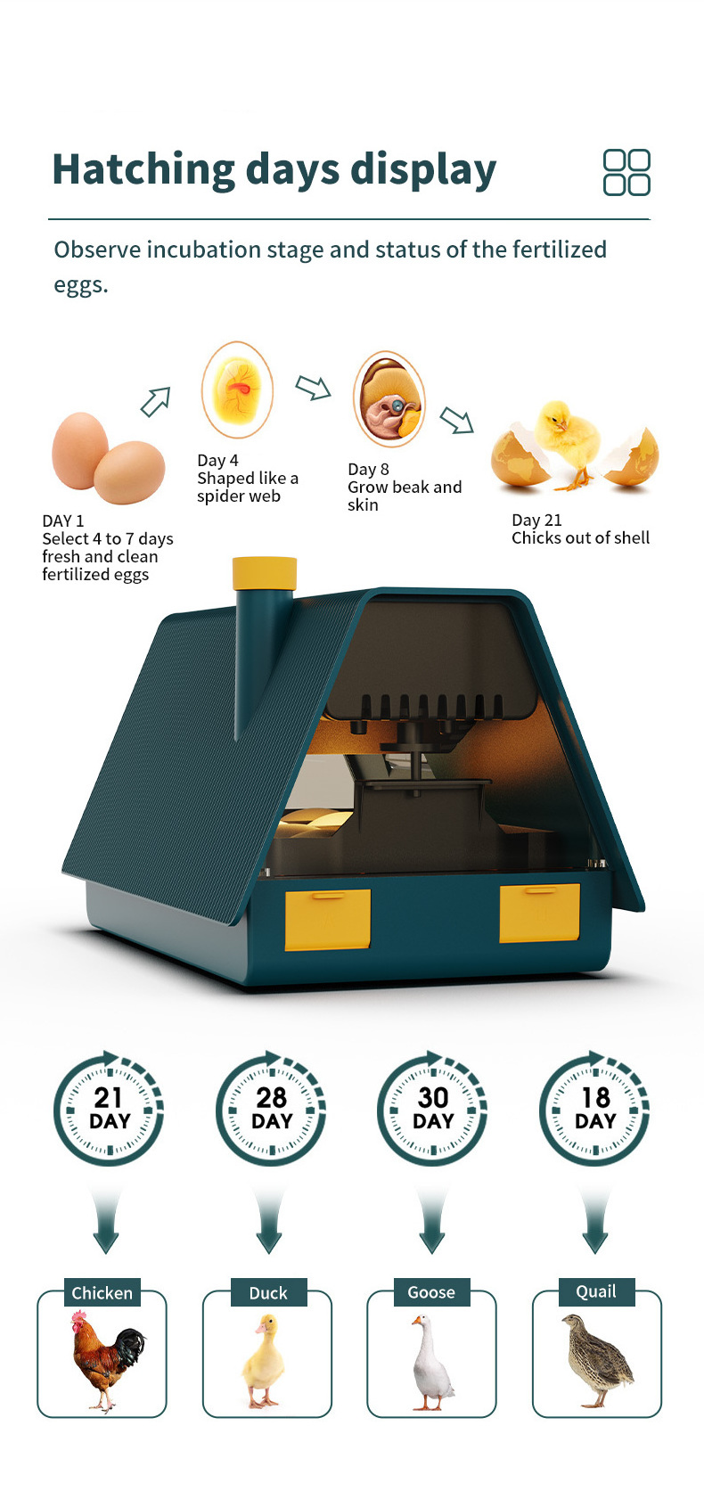 HHD Smart YZ-10 Eggs Incubator Little House Hatching Machine With  High Quality For Home Use And Kids Gifts