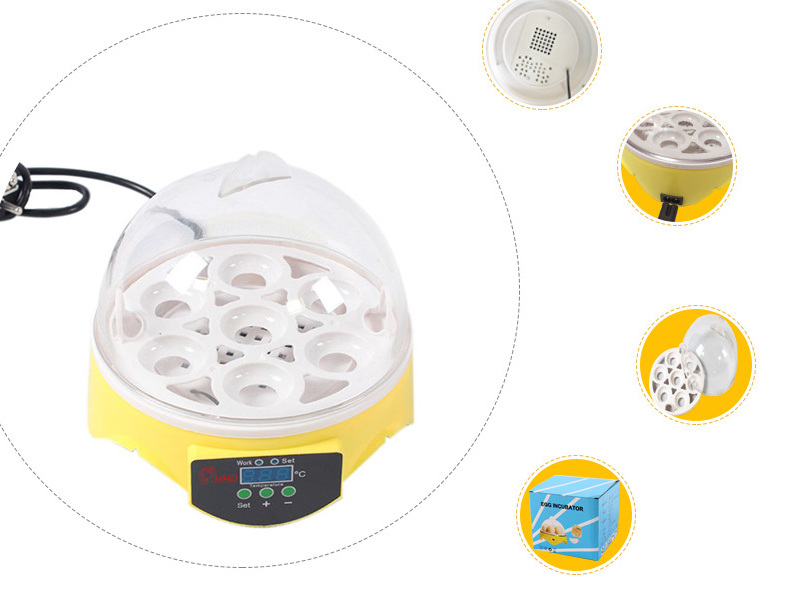 HHD brand Intelligent automatic small 7 eggs incubator for parrots sale