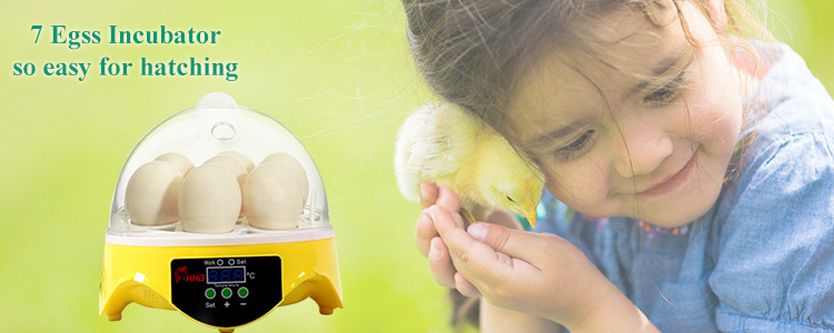 Hot sale Intelligent automatic small 7 eggs incubator for children education