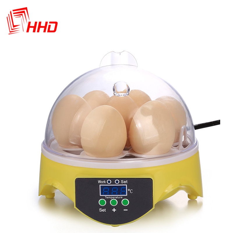 Hot sale Intelligent automatic small 7 eggs incubator for children education