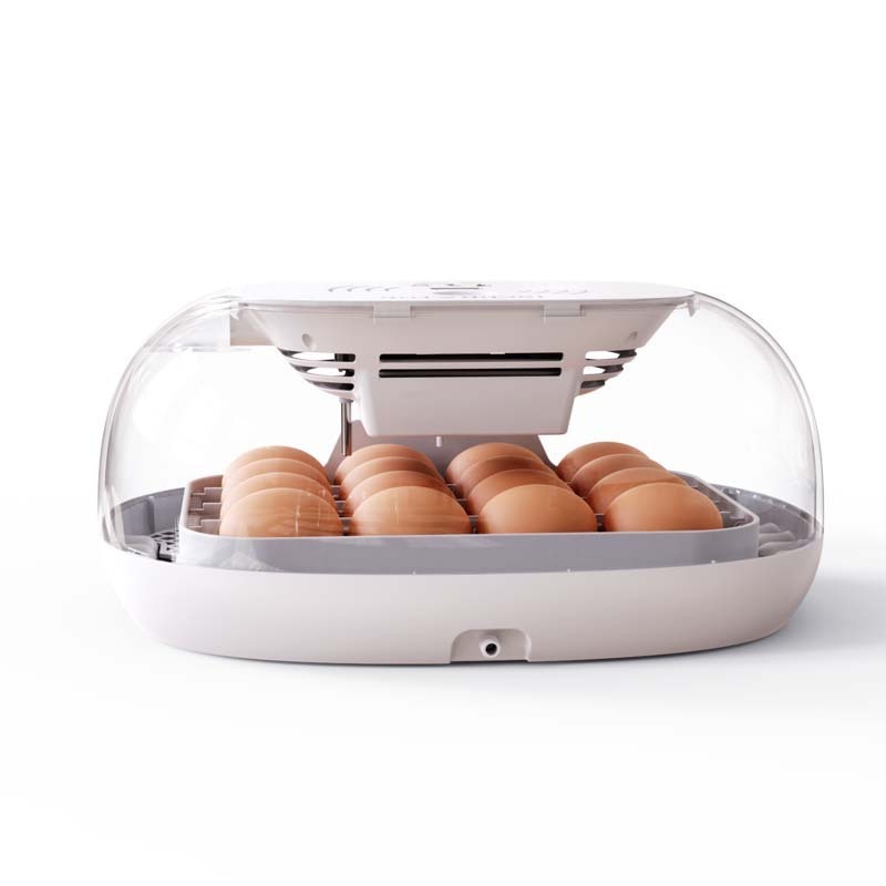 Mini  incubator M16 egg hatching machine for parrot egg home use