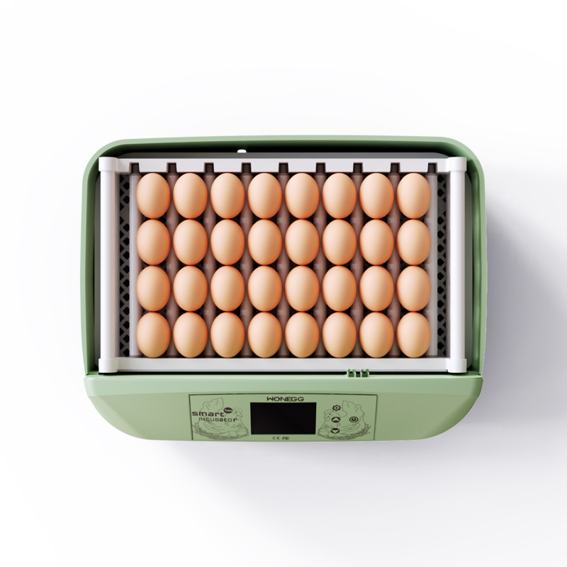 HHD 32 setter hatch for chicken quail egg hatch solar powered commercial egg incubator for sale YZ-32B