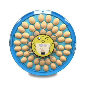 Hhd Diesel Brooder Master Chicks Cycle Heater Electric Coil Jaket Mat Plate 12 Eggs Large Battery Design Papegaaien Broiler Sale