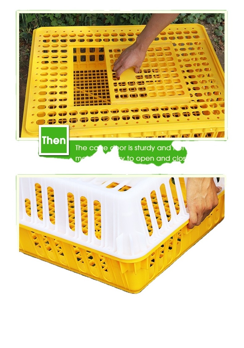 Durable plastic pet chicken racing pigeon transport cage  WZZF27-5.1