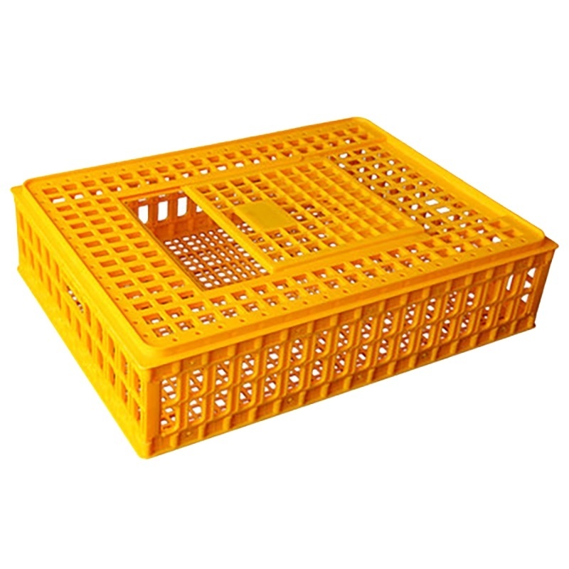 Durable plastic pet chicken racing pigeon transport cage  WZZF27-5.1