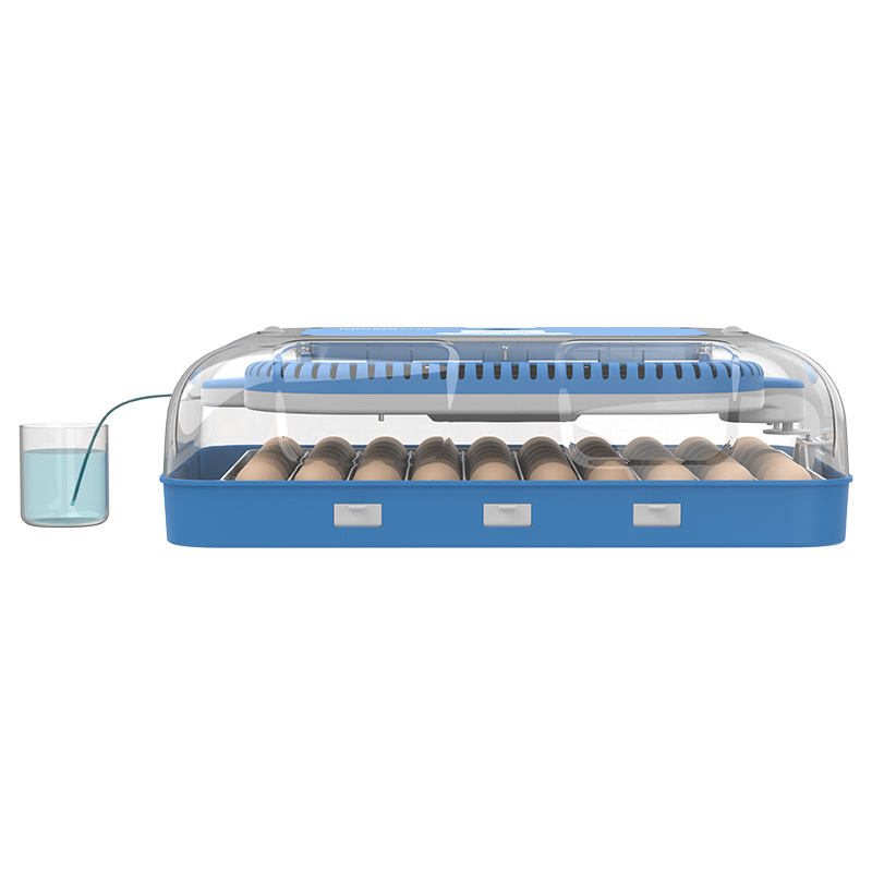 Hhd Eggs Brooder China Automatic Egg Hatcheries Packaging Machine Plucker Turkey Eggs For Hatching Machines