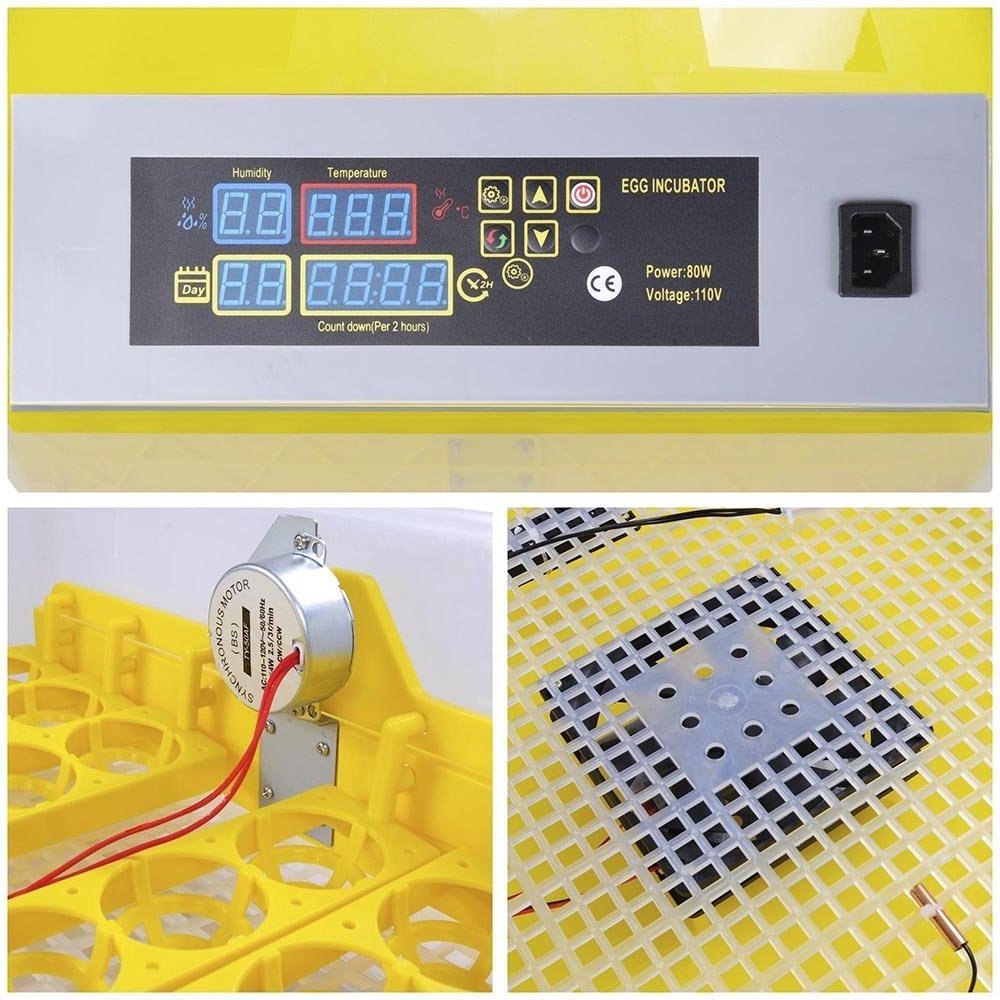 100% Fully automatic 48 capacity canarie egg incubator used chicken egg incubator for sale