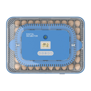 Hhd Egg Pasteurizer Incubator 1056 Incubator Innovation Automatic Chicken Coop Door Solar Quail Incubator Poultry Farm