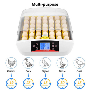 automatic egg turning incubators about 56 eggs for sale