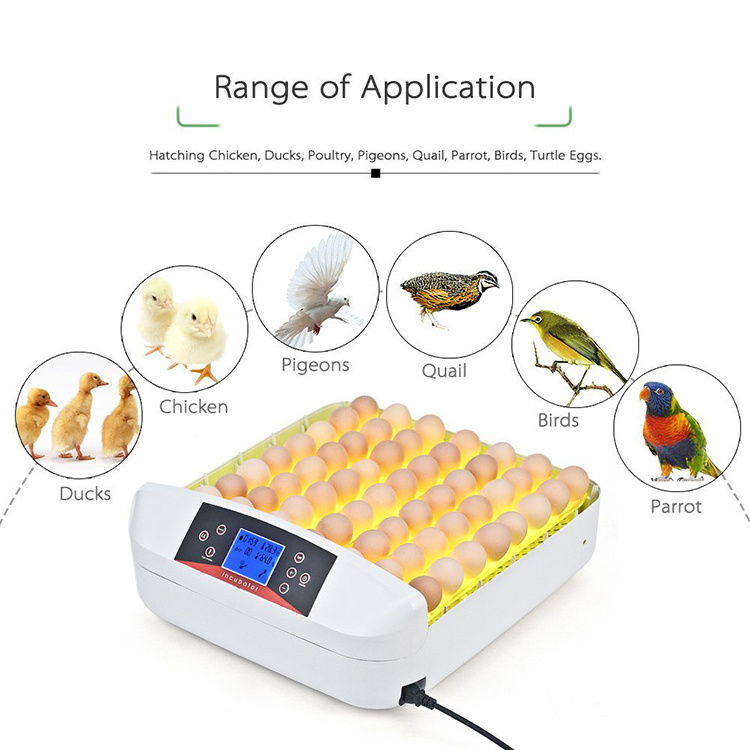 HHD factory price reptile/quail/chicken 56 egg incubator automatic China with CE certificate