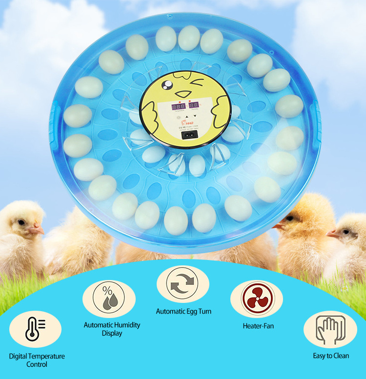 Hhd Diesel Brooder Master Chicks Cycle Heater Electric Coil Jaket Mat Plate 12 Eggs Large Battery Design Papegaaien Broiler Sale