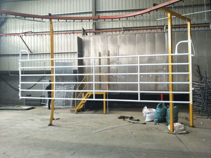 2019 hot sale galvanized / powder coated cattle panels livestock panels