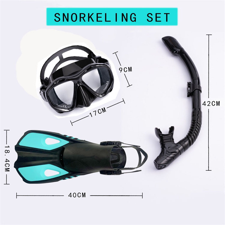 Adults Dry Top Anti Fog Diving Equipment Snorkel Scuba Set Flippers Snorkel Tube Diving Mask Swimming Goggles Diving Fins