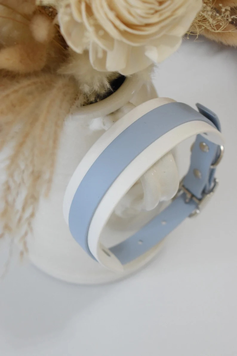 New colorful tpu slip collar hardware pvc dog collar wide fashion waterproof silicone dog collar