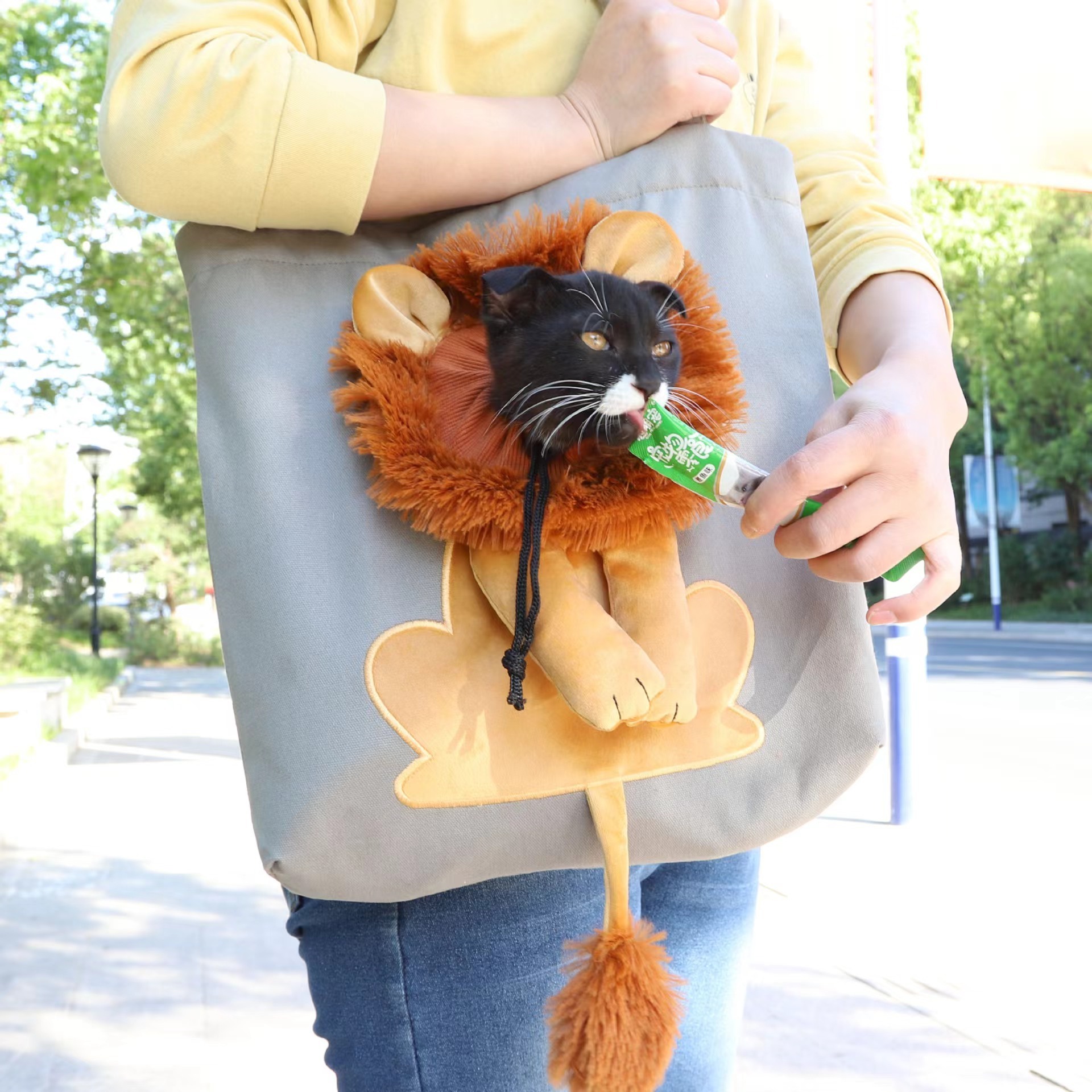 Cute Lion Shoulder  Outdoor Cat  Handbag  Accessories Pet Travel Canvas cats for bag pet bag carrier luxury pet dog bag