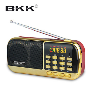 Mini rechargeable digital FM radio B871