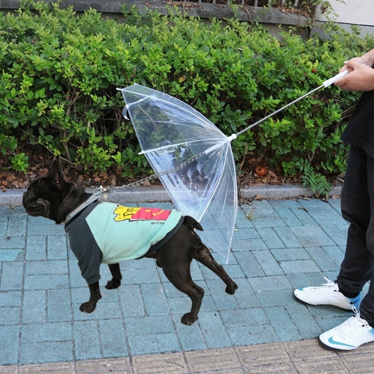 Hot sale pet umbrella custom cheap plastic rainproof walking dog umbrellas with leash for small dogs