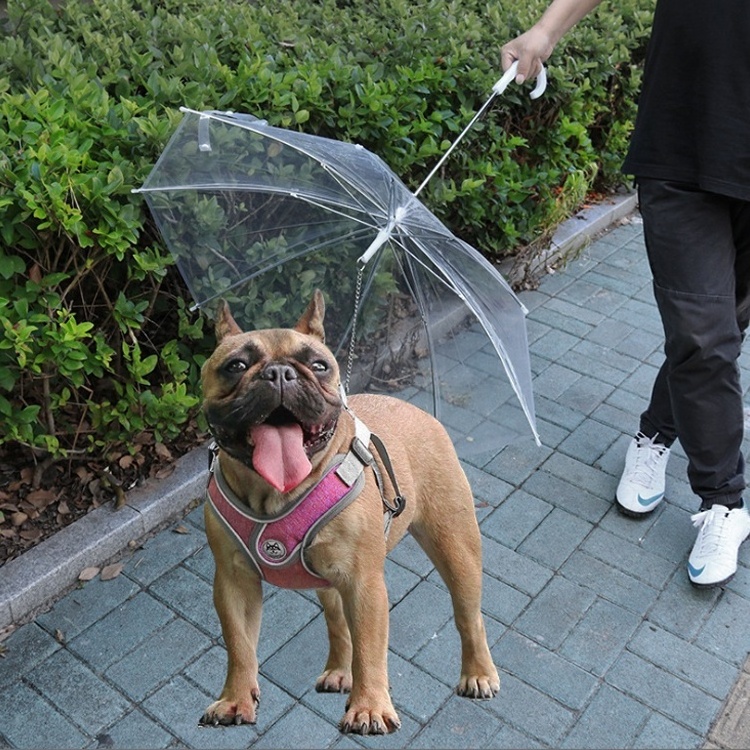 Hot sale pet umbrella custom cheap plastic rainproof walking dog umbrellas with leash for small dogs