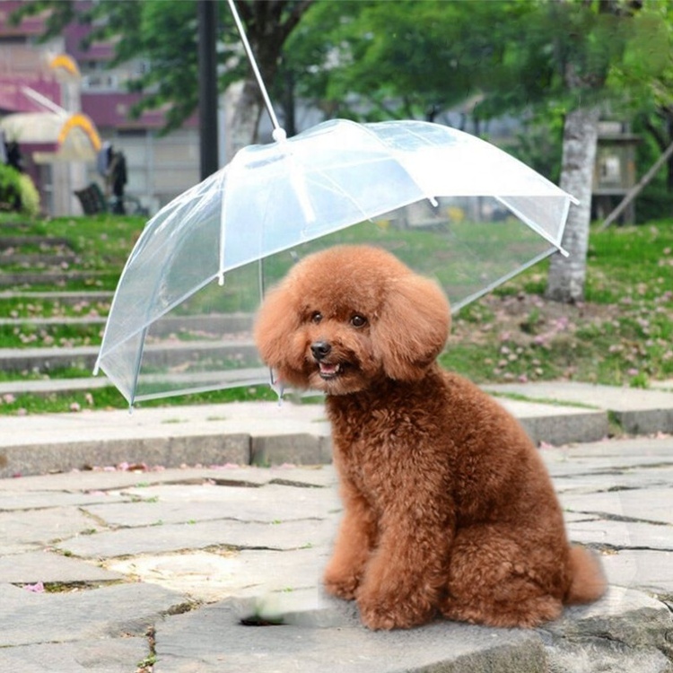 Hot sale pet umbrella custom cheap plastic rainproof walking dog umbrellas with leash for small dogs