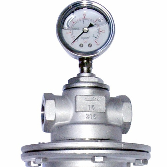 Direct Acting Type Back Pressure Valve Made in Taiwan Stainless Steel