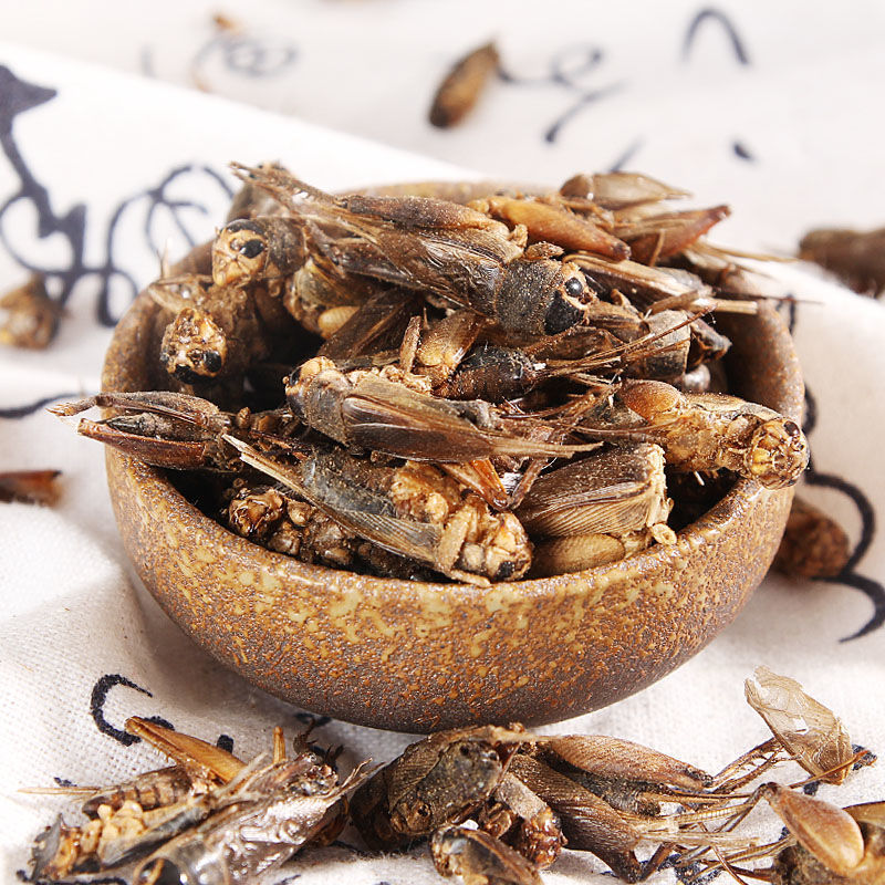 Wholesale Freeze Dried Crickets Insect Snack Edible Crickets Turtle Food Reptiles Food Dried Crickets