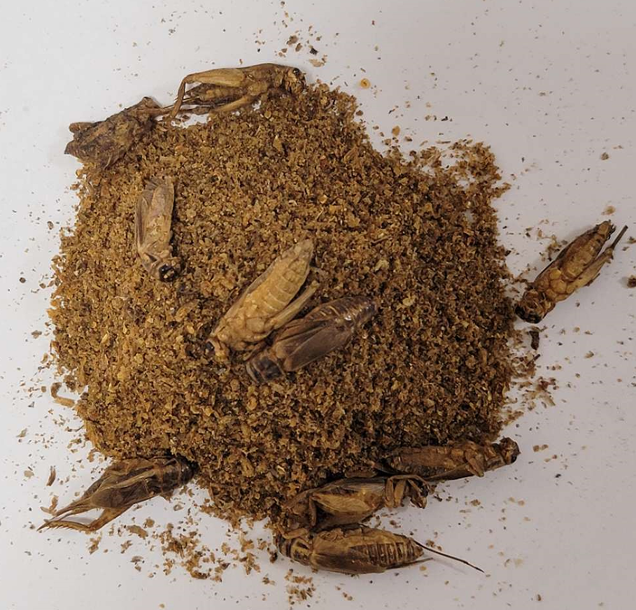 Defatted Yellow Powder Insect Protein Powder Dried Cricket Powder Cricket Flour Dry Food For Pet Animals