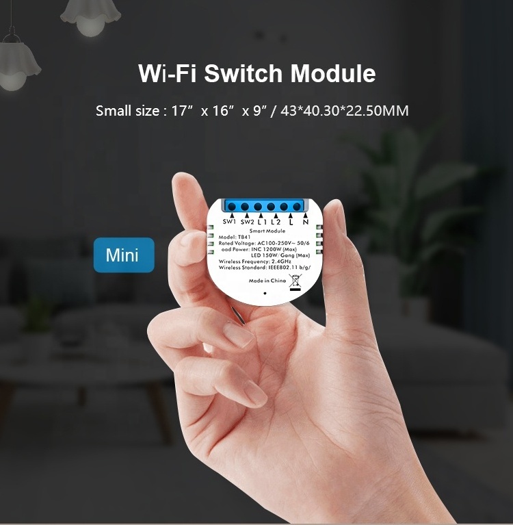 Multi-function 2 gang 1 way Tuya smart light mini switch wifi smart switch module wifi switch module