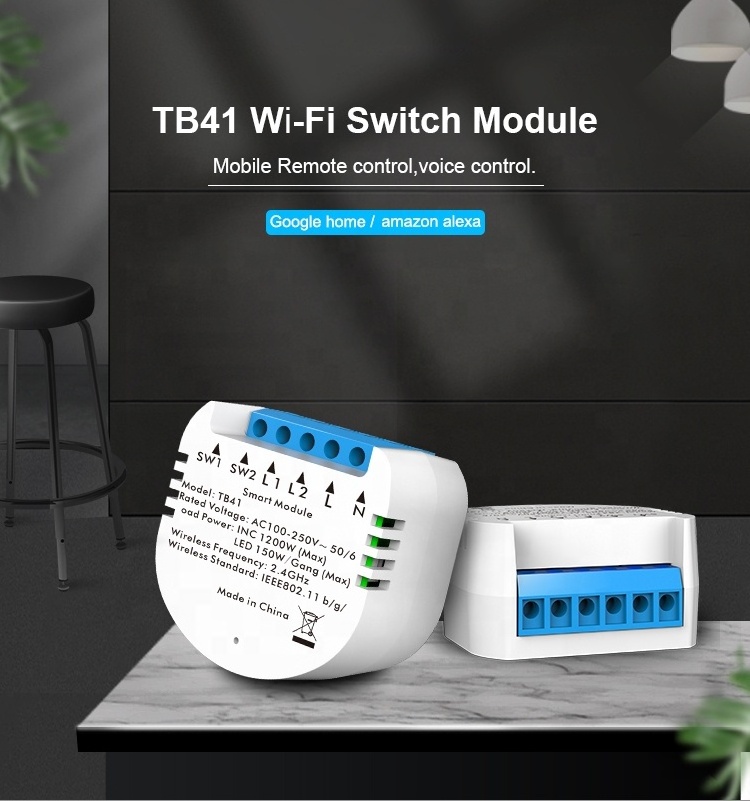 Multi-function 2 gang 1 way Tuya smart light mini switch wifi smart switch module wifi switch module