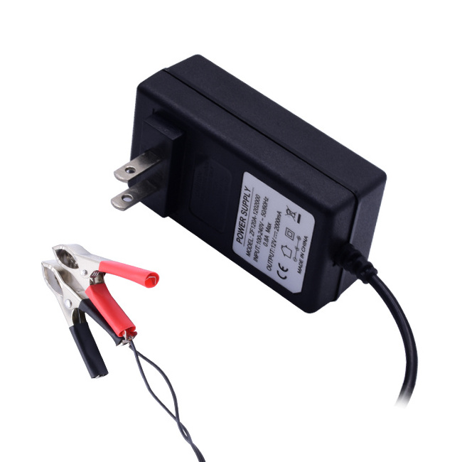 CE EAC Certified 2m Length DC Function 12V 24V 42V 0.5A 1A 2A 3A Lithium-Ion Lifepo4 Lead Acid NICA Nicd Battery Charger