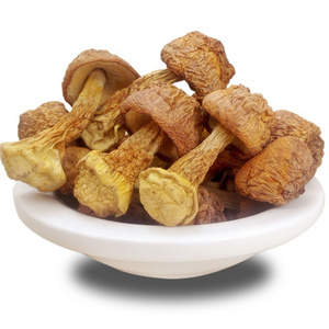 12008 Song rong High Quality Dried Wild Fresh Matsutake Mushroom