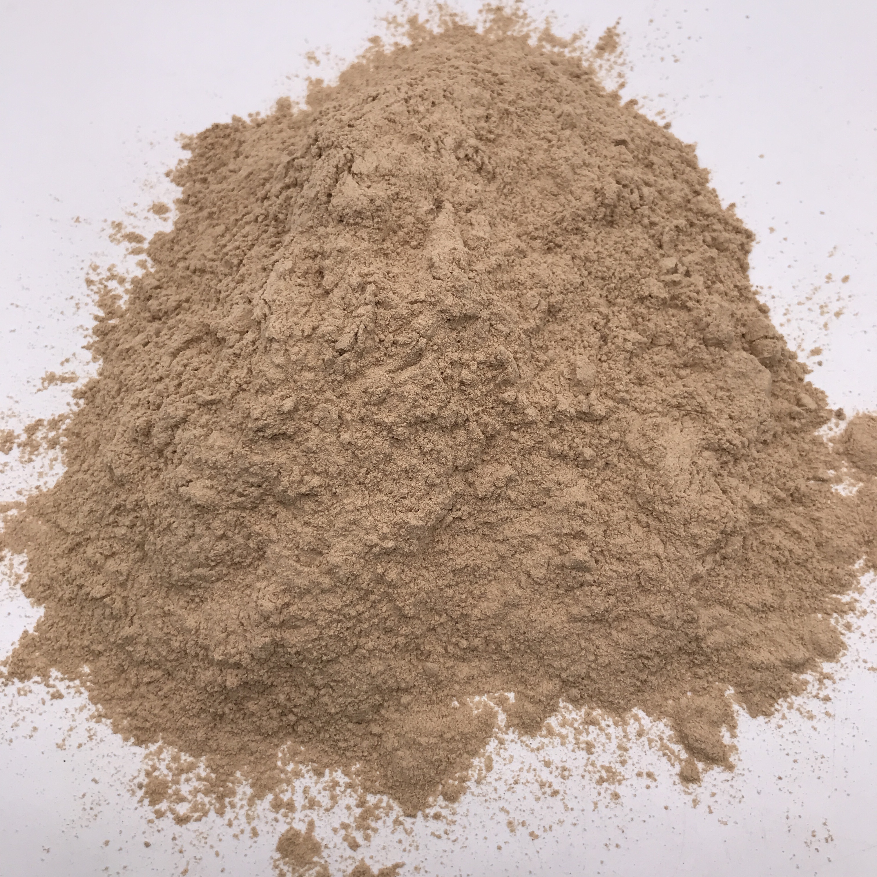 X040 Xiang gu fen Factory Outlet Shitake Extract Shiitake Lentinus Edodes Mushroom Powder