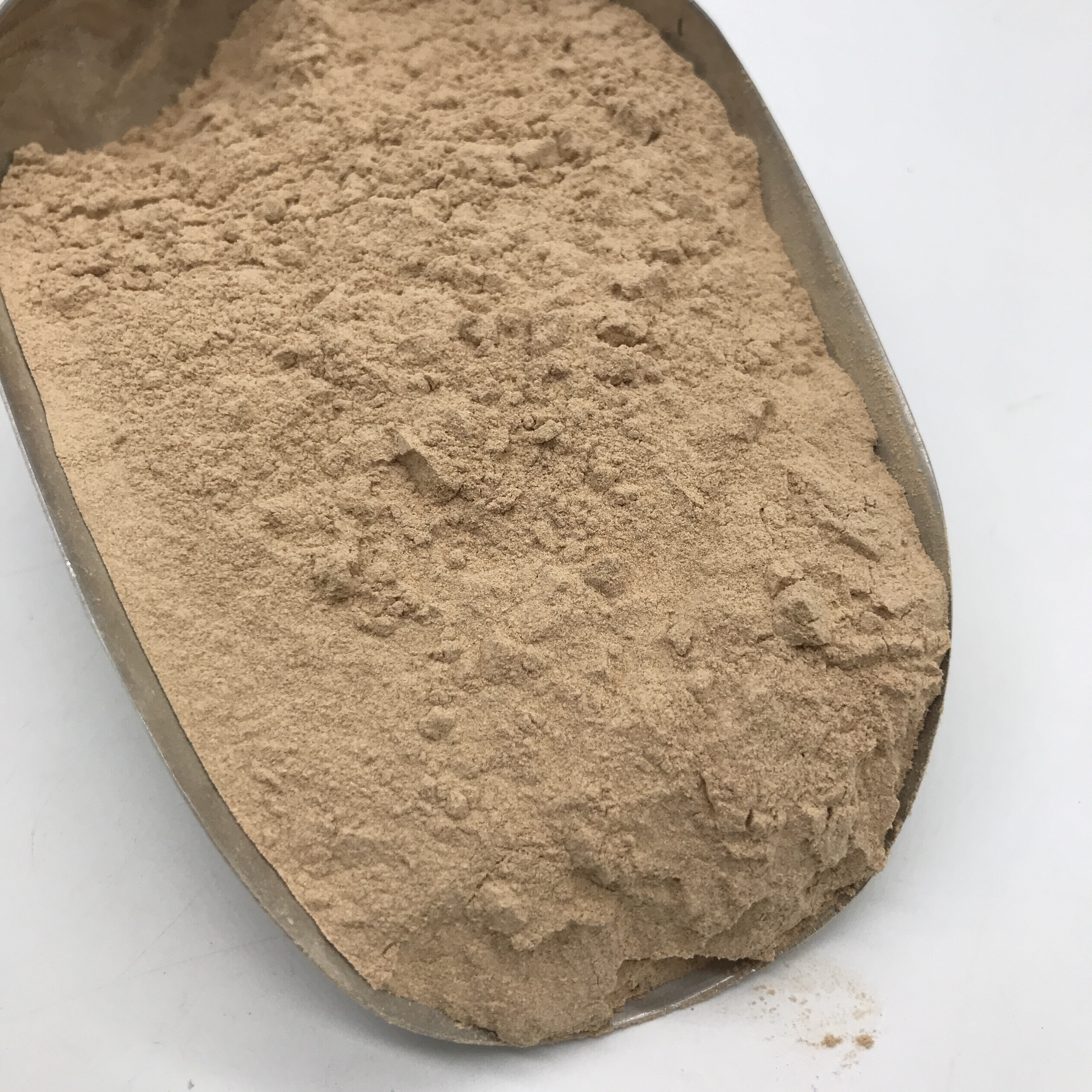 X040 Xiang gu fen Factory Outlet Shitake Extract Shiitake Lentinus Edodes Mushroom Powder