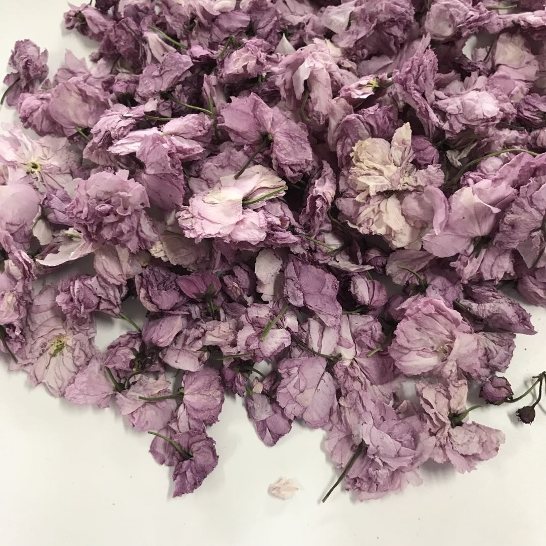 4081 Ying hua natural health Dry Cherry Blossom Flower Tea