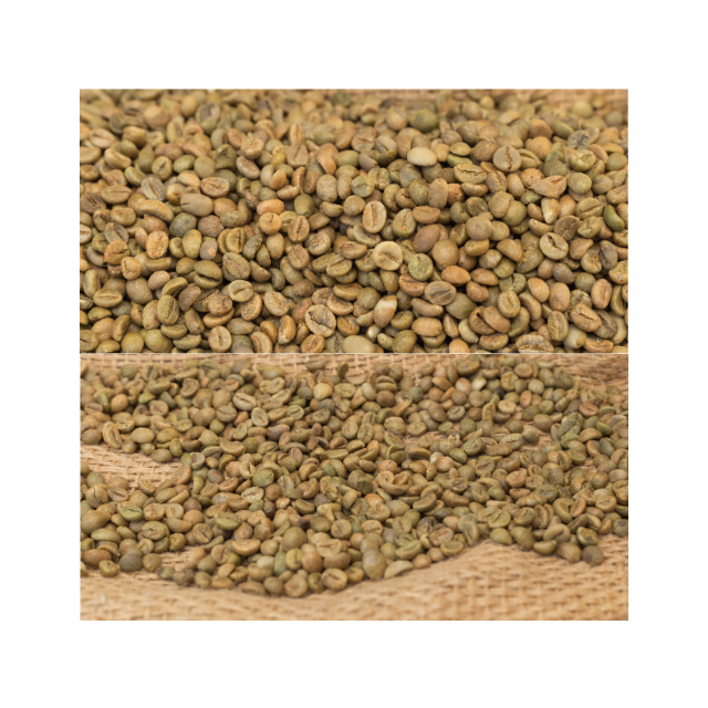 Arabica Natural Arabica Coffee Beans Wholesale Natural Fast Delivery Best Quality Natural Robusta Raw Coffee Beans Vietnam Manuf