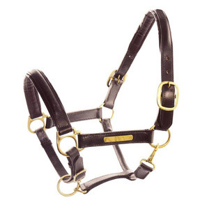 adjustable soft horse riding headstall equipment horse halter