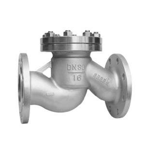 API ANSI Standard PN16 PN25 PN40 PN64 Casting Stainless Steel RF RJ RTJ Flange Joint Type Lift Check Valve