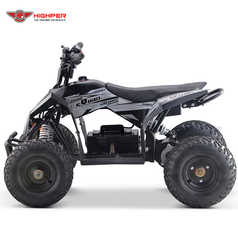 1000W36V Mini Quad bikes, Electric ATVs for Kids ATV-9E