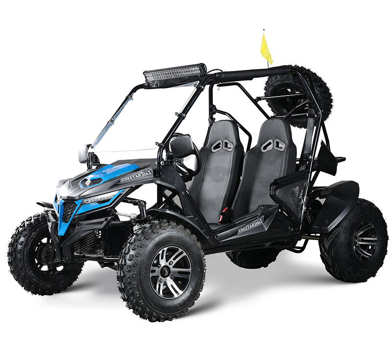 150cc 200cc 250cc 300cc gasoline off road beach dune buggy cross go karts for adults