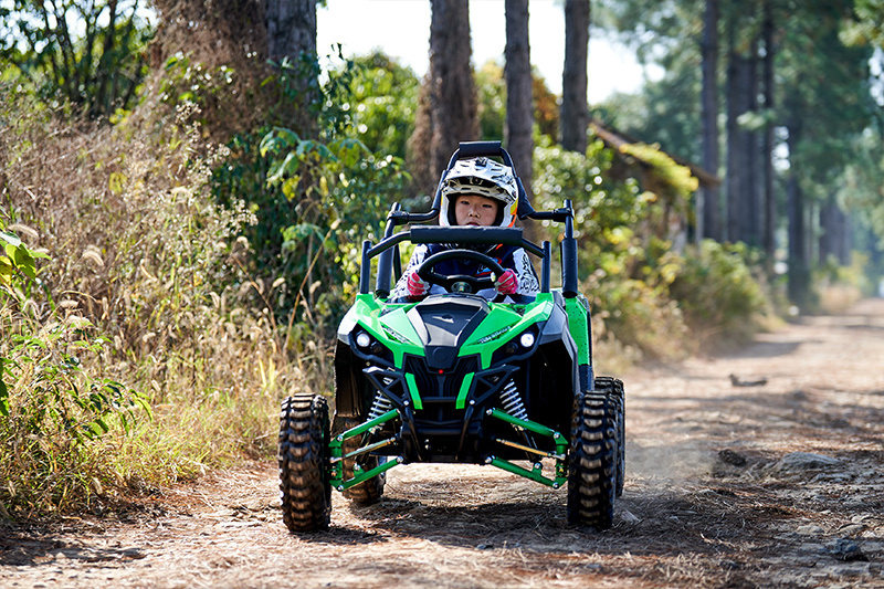 Mini UTV for Kids with 1200W 48V Electric Buggy Go Kart